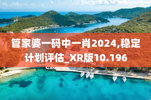 管家婆一码中一肖2024,稳定计划评估_XR版10.196