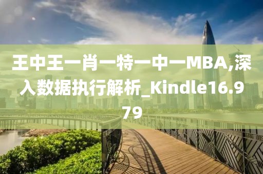 王中王一肖一特一中一MBA,深入数据执行解析_Kindle16.979