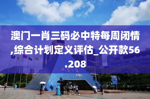 澳门一肖三码必中特每周闭情,综合计划定义评估_公开款56.208