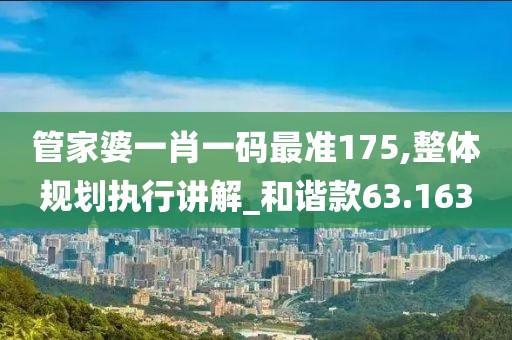 管家婆一肖一码最准175,整体规划执行讲解_和谐款63.163