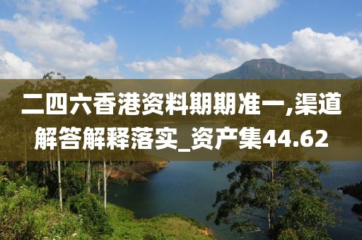 二四六香港资料期期准一,渠道解答解释落实_资产集44.62