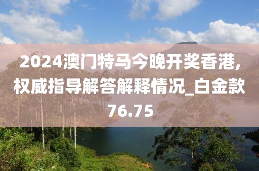 2024澳门特马今晚开奖香港,权威指导解答解释情况_白金款76.75