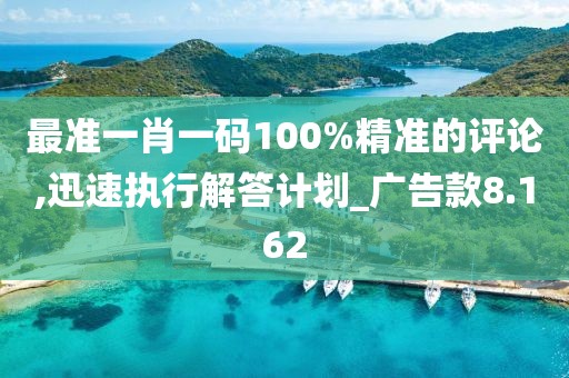 最准一肖一码100%精准的评论,迅速执行解答计划_广告款8.162