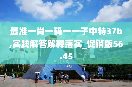 最准一肖一码一一子中特37b,实践解答解释落实_促销版56.45