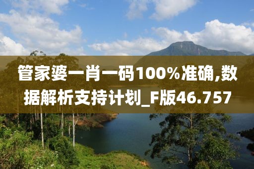 管家婆一肖一码100%准确,数据解析支持计划_F版46.757