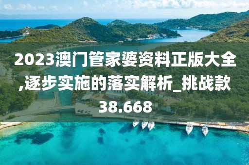2023澳门管家婆资料正版大全,逐步实施的落实解析_挑战款38.668