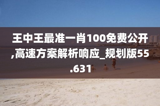 王中王最准一肖100免费公开,高速方案解析响应_规划版55.631
