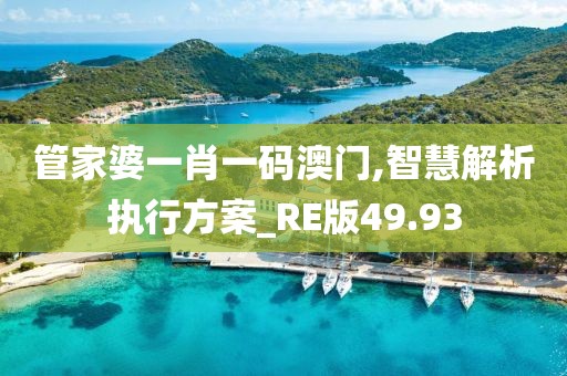 管家婆一肖一码澳门,智慧解析执行方案_RE版49.93