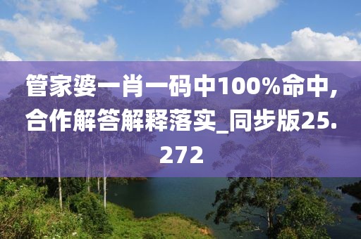 管家婆一肖一码中100%命中,合作解答解释落实_同步版25.272