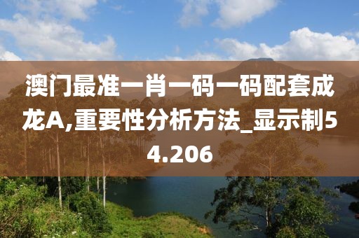 澳门最准一肖一码一码配套成龙A,重要性分析方法_显示制54.206