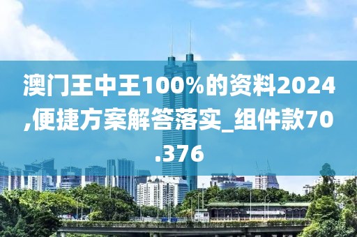 澳门王中王100%的资料2024,便捷方案解答落实_组件款70.376