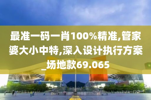 最准一码一肖100%精准,管家婆大小中特,深入设计执行方案_场地款69.065