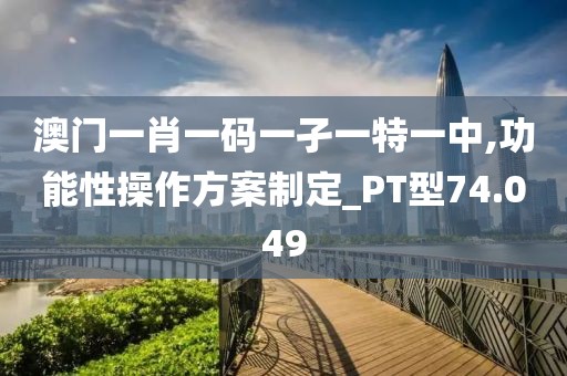 澳门一肖一码一孑一特一中,功能性操作方案制定_PT型74.049