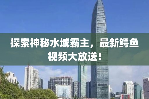 探索神秘水域霸主，最新鳄鱼视频大放送！
