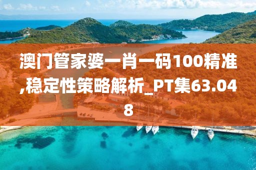 澳门管家婆一肖一码100精准,稳定性策略解析_PT集63.048