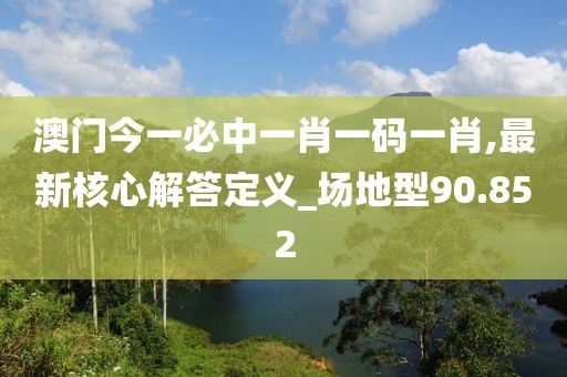 澳门今一必中一肖一码一肖,最新核心解答定义_场地型90.852
