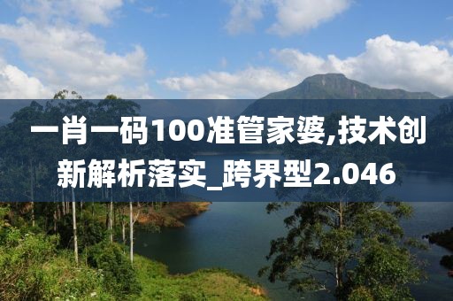 一肖一码100准管家婆,技术创新解析落实_跨界型2.046