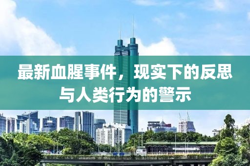 最新血腥事件，现实下的反思与人类行为的警示