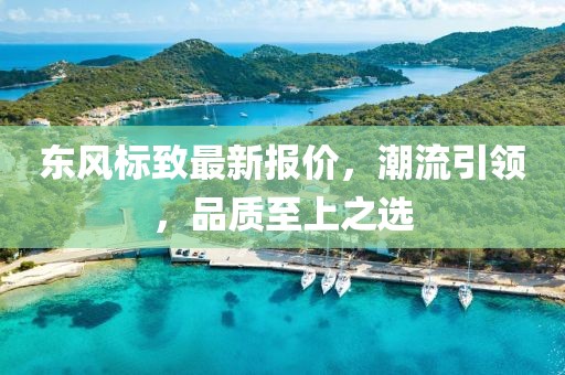 东风标致最新报价，潮流引领，品质至上之选