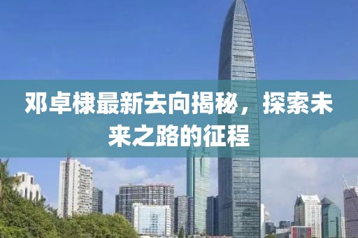 邓卓棣最新去向揭秘，探索未来之路的征程