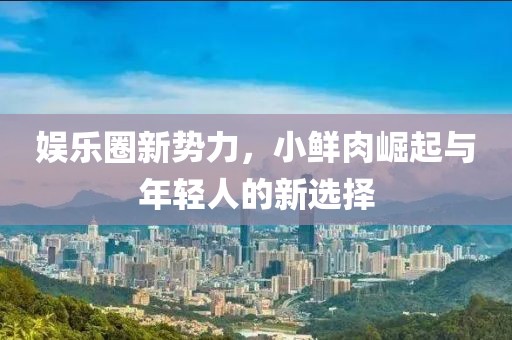 娱乐圈新势力，小鲜肉崛起与年轻人的新选择