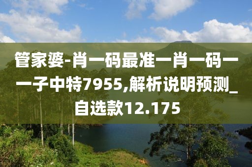 管家婆-肖一码最准一肖一码一一子中特7955,解析说明预测_自选款12.175