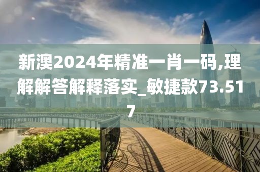 新澳2024年精准一肖一码,理解解答解释落实_敏捷款73.517
