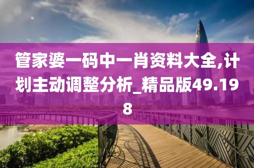 管家婆一码中一肖资料大全,计划主动调整分析_精品版49.198