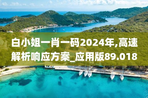 白小姐一肖一码2024年,高速解析响应方案_应用版89.018