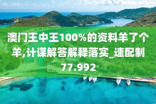 澳门王中王100%的资料羊了个羊,计谋解答解释落实_速配制77.992