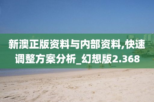 新澳正版资料与内部资料,快速调整方案分析_幻想版2.368