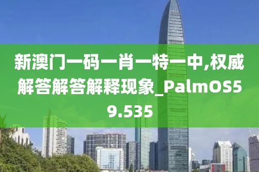 新澳门一码一肖一特一中,权威解答解答解释现象_PalmOS59.535