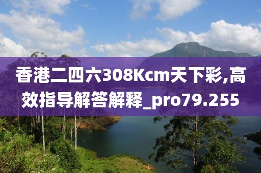 香港二四六308Kcm天下彩,高效指导解答解释_pro79.255