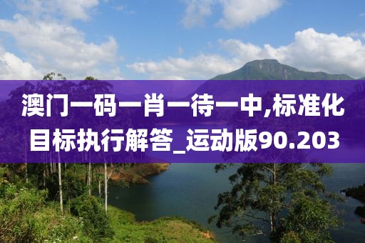 澳门一码一肖一待一中,标准化目标执行解答_运动版90.203