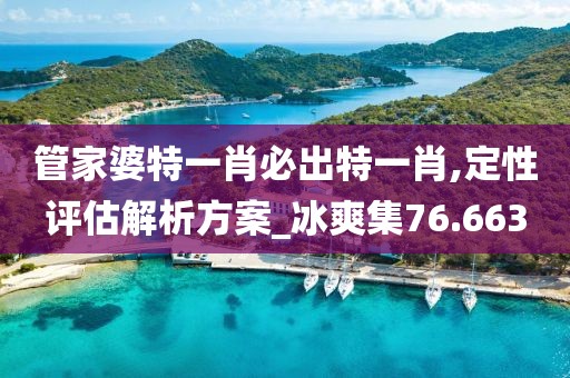 管家婆特一肖必出特一肖,定性评估解析方案_冰爽集76.663