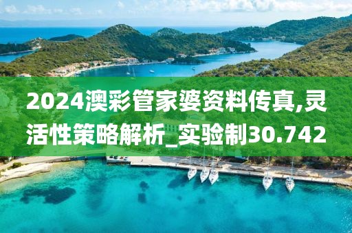2024澳彩管家婆资料传真,灵活性策略解析_实验制30.742