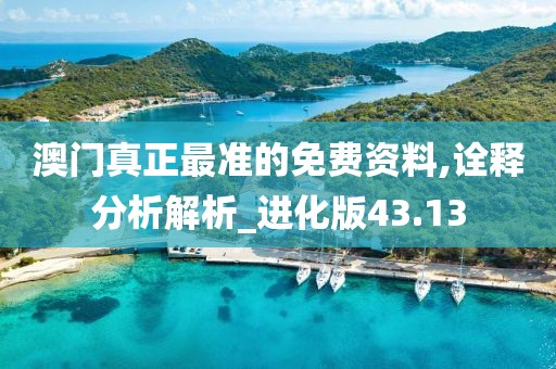 澳门真正最准的免费资料,诠释分析解析_进化版43.13