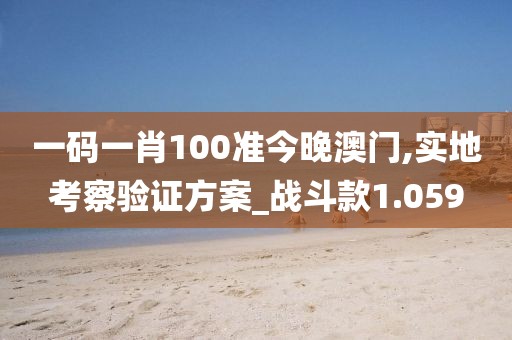一码一肖100准今晚澳门,实地考察验证方案_战斗款1.059