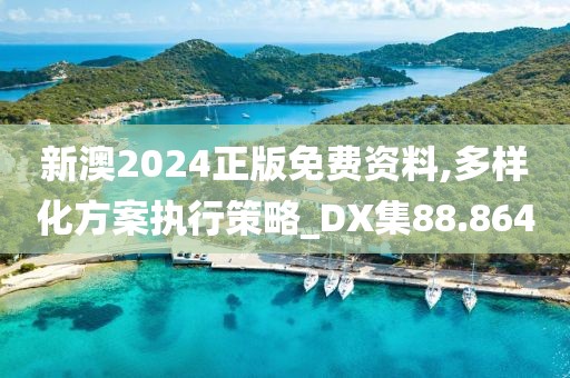 新澳2024正版免费资料,多样化方案执行策略_DX集88.864