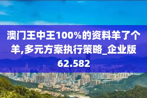 澳门王中王100%的资料羊了个羊,多元方案执行策略_企业版62.582