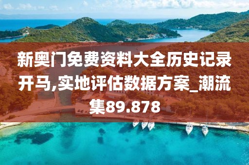 新奥门免费资料大全历史记录开马,实地评估数据方案_潮流集89.878