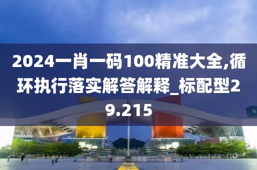 2024一肖一码100精准大全,循环执行落实解答解释_标配型29.215