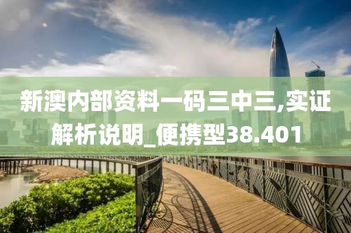 新澳内部资料一码三中三,实证解析说明_便携型38.401