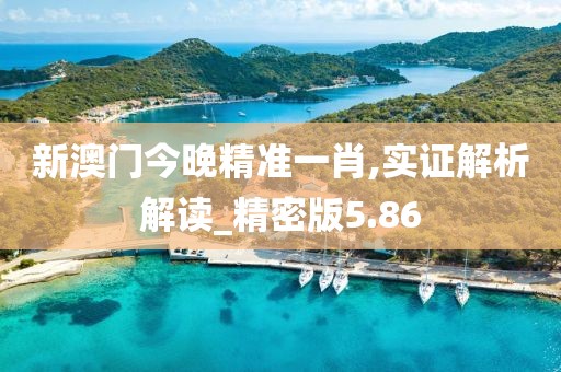 魅影风随 第80页