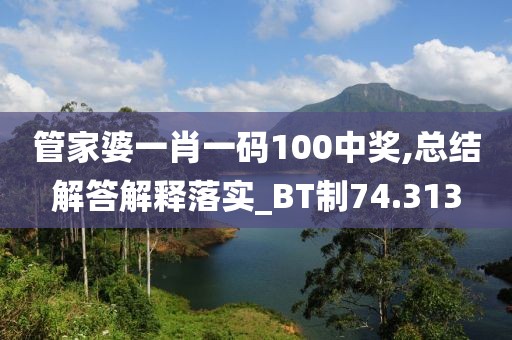 管家婆一肖一码100中奖,总结解答解释落实_BT制74.313