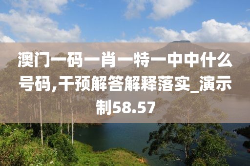 澳门一码一肖一特一中中什么号码,干预解答解释落实_演示制58.57