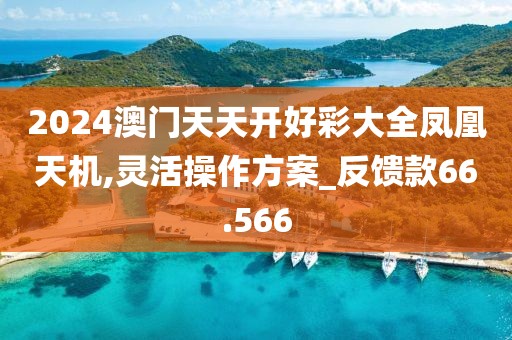 2024澳门天天开好彩大全凤凰天机,灵活操作方案_反馈款66.566
