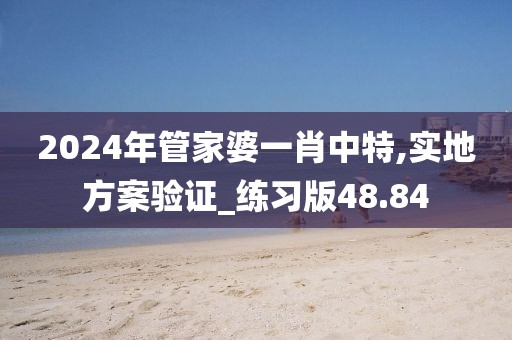 2024年管家婆一肖中特,实地方案验证_练习版48.84