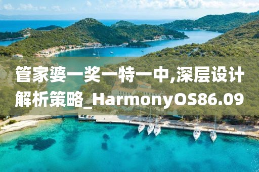 管家婆一奖一特一中,深层设计解析策略_HarmonyOS86.09