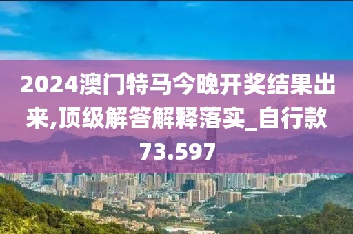 2024澳门特马今晚开奖结果出来,顶级解答解释落实_自行款73.597